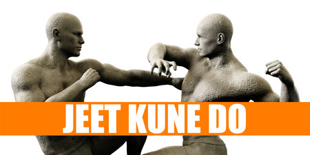 Jeet kune do Classes Training Fighting Concept Backgroundの写真素材