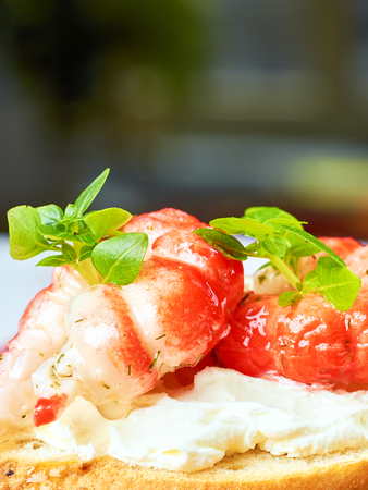 Delicious snacks on toast with shrimp, fish and avacadoの写真素材