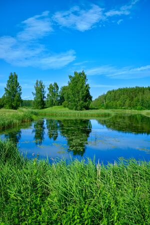 Sunny summer landscape with river. Green hills and meadows. Fields of lush green grassの写真素材