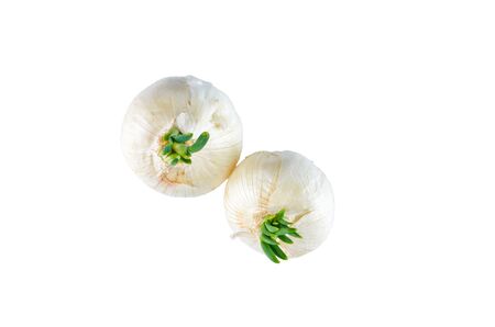 Fresh white onion isolated on white background. The view from the top. Organic food background.の写真素材