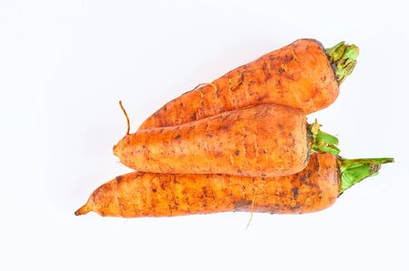 Three carrot isolated on white background. The view from the top. Organic food background.の写真素材