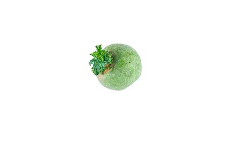 Green radish isolated on white background. The view from the top. Background of organic food.の写真素材
