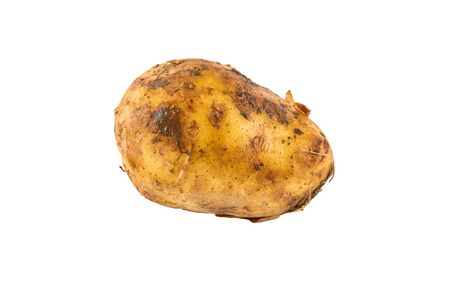 White potatoes isolated on white background. Background of organic food.の写真素材