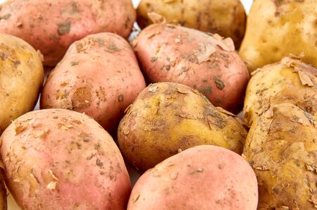 Red and white potatoes isolated on white background. Background of organic food.の写真素材
