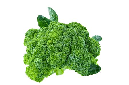 Broccoli isolated on white background. Background of organic food.の写真素材