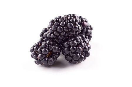 Three blackberries berries isolated on white background.の写真素材