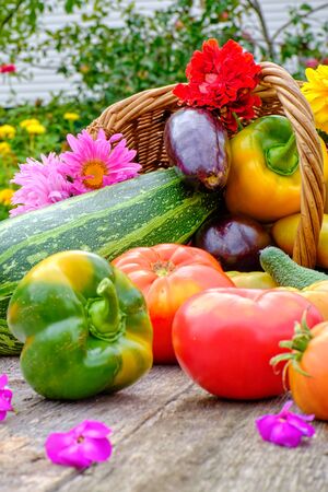 Still life of fruits and vegetables. Composition of squash, eggplant, tomato, cucumber, pepper carrots and potatoes lying in a basket on a wooden table.の写真素材