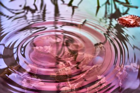 Raindrops fall on the surface of the water. The circles from the raindrops on the water surface. Abstract color background of circles on the water and falling drops.の写真素材