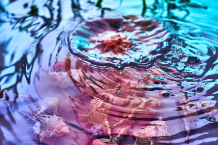 Raindrops fall on the surface of the water. The circles from the raindrops on the water surface. Abstract color background of circles on the water and falling drops.の写真素材