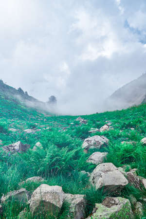 High-altitude landscape with rising fog and clouds from the lowlands, Alpine grass and stone scattered on the slope. Mountain Hiking.の写真素材