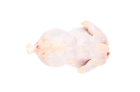 Fresh raw chicken carcass isolated on a white background. The view from the top.の写真素材