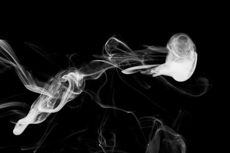 Clouds of white smoke on a black background, movement of smoke on a black background, clouds of smoke in the shape of a jellyfish, smoky background, abstract smokeの写真素材