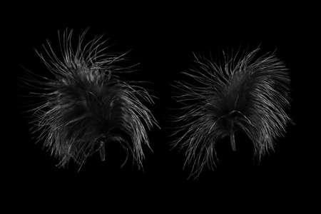 Two black bird feathers isolated on a black background, abstract backgroundの写真素材