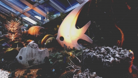 Plant at cloud forest at Singaporeの素材