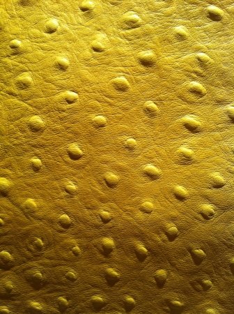 Yellow ostrich leatherの素材