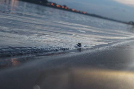 Water drop on the beach at sunset. Selective focus and shallow depth of field.