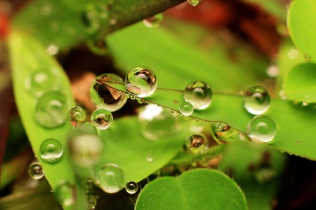 Macro photography showing a close up view of Water Droplets for backgroundの写真素材