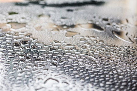 Water Droplets from rain water indicating raining season