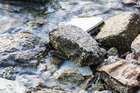 Rock texture in close up for background