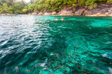 Holiday in Koh Lipe Thailand - Fish feeding with blur background during rainingの写真素材