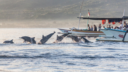 Holiday in Bali, Indonesia - Dolphin Beach Lovina Bali, Dolphin Jumpingのeditorial素材