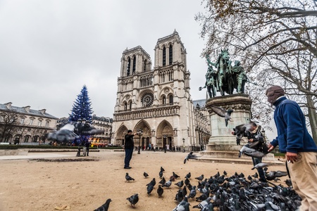 Paris France, November 2014: Holiday in France - Notre-Dame Cathedral and tourist during winter Christmasのeditorial素材