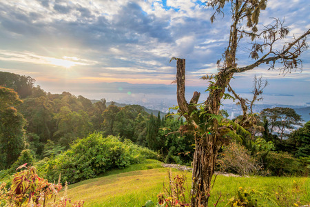 Metropolitan cityscape view from top of the hill or mountain during sunrise sunsetの写真素材