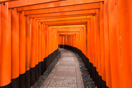 Holiday in Japan - Raining day in Torii Gates, Fushimi Inari Shrine, Kyoto, Japanのeditorial素材