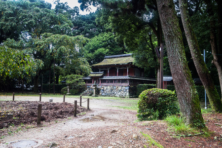 Summer Autumn transit view of Diago-ji Temple, Kyoto, Japanのeditorial素材
