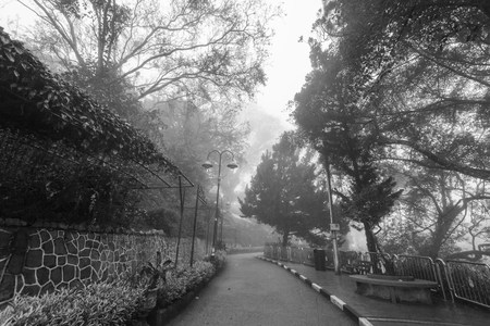 Foggy misty road indicating haunted in black and whiteの写真素材