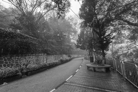 Foggy misty road indicating haunted in black and whiteの写真素材