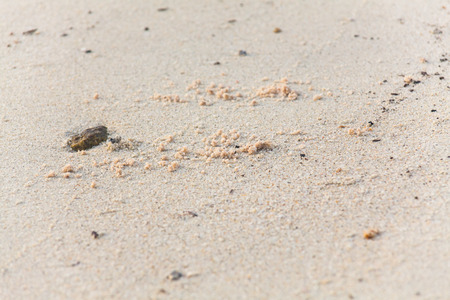 Sand texture for backgroundの写真素材