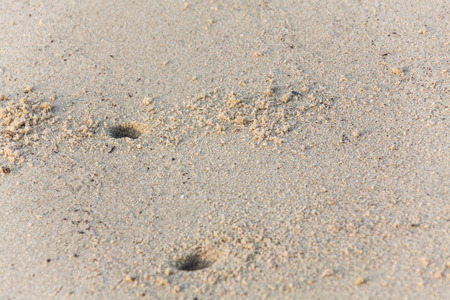 Sand texture for backgroundの写真素材