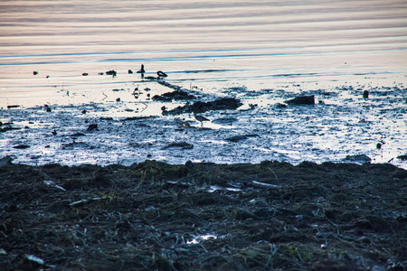 Dirty muddy beach showing a dump site