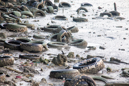 Dirty muddy beach showing a dump siteの写真素材