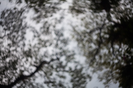 Out of focus swirly bokeh for backgroundの写真素材