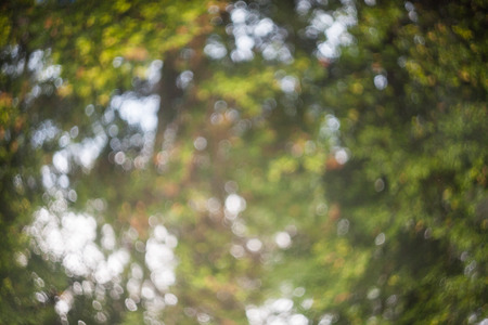 Out of focus swirly bokeh for backgroundの写真素材