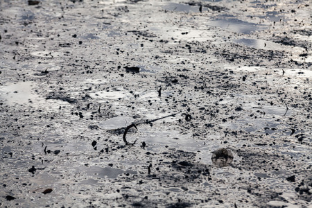 Close up view of mud texture for blur backgroundの写真素材