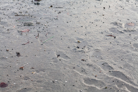 Close up view of mud texture for blur backgroundの写真素材