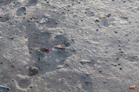 Close up view of mud texture for blur backgroundの写真素材