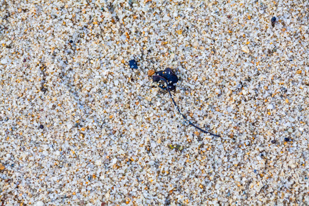 Close up view of hard sand texture for blur backgroundの写真素材