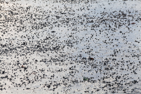 Close up view of mud texture for blur backgroundの写真素材