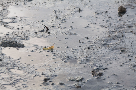 Close up view of mud texture for blur backgroundの写真素材