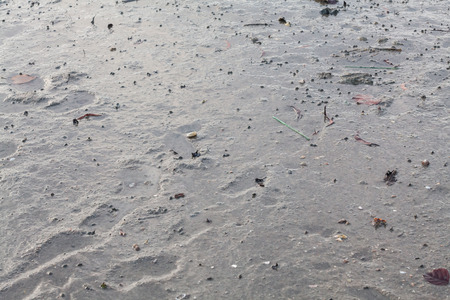 Close up view of mud texture for blur backgroundの写真素材