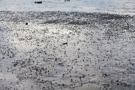 Close up view of mud texture for blur backgroundの写真素材