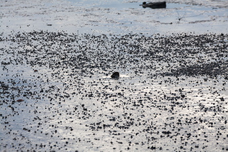 Close up view of mud texture for blur backgroundの写真素材
