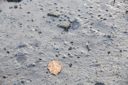 Close up view of mud texture for blur backgroundの写真素材