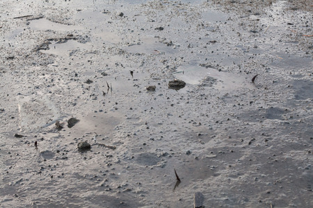 Close up view of mud texture for blur backgroundの写真素材