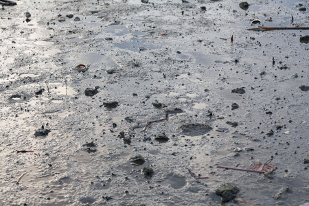 Close up view of mud texture for blur backgroundの写真素材