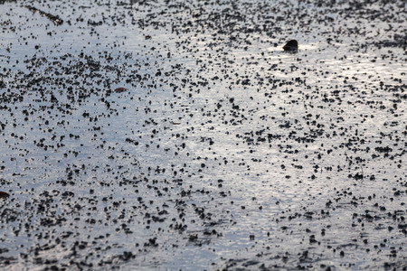Close up view of mud texture for blur backgroundの写真素材